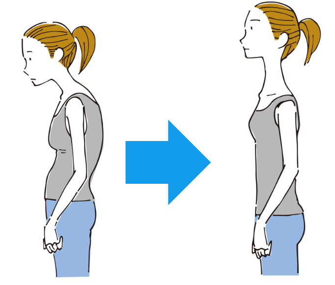 猫背改善イラスト