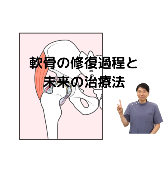 キャッチ画像