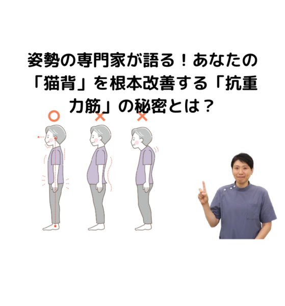 キャッチ画像
