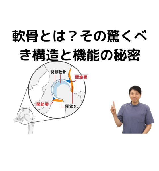 キャッチ画像