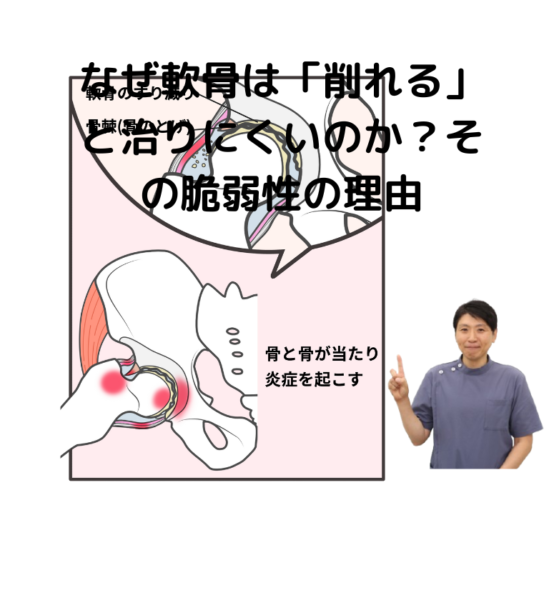 キャッチ画像