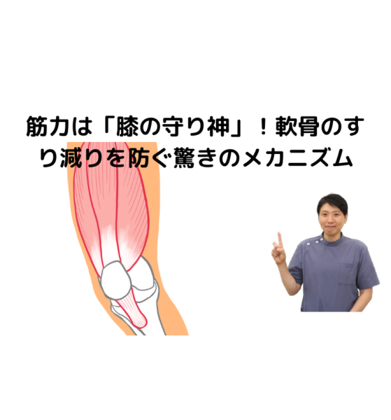 キャッチ画像