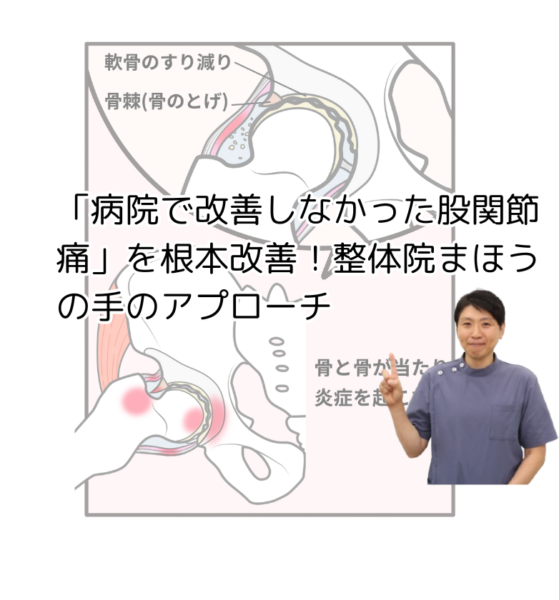 キャッチ画像