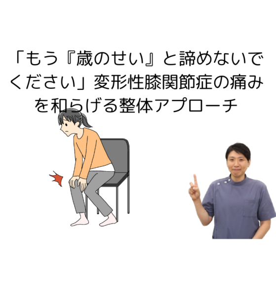 キャッチ画像