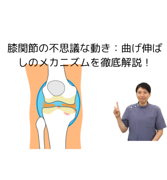 キャッチ画像