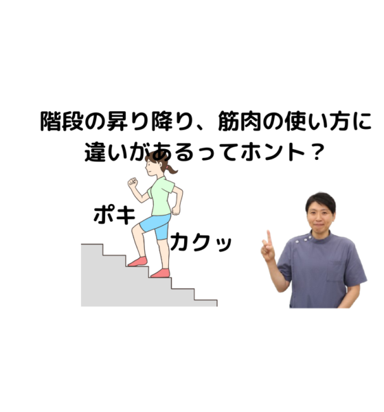 キャッチ画像