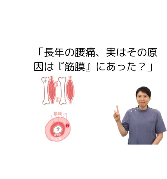 キャッチ画像
