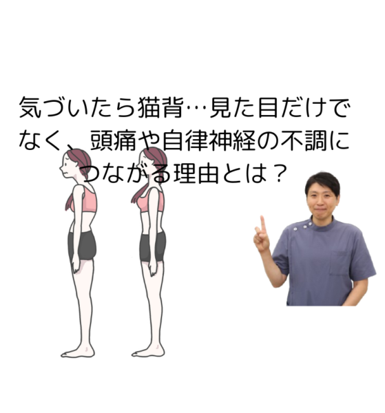 キャッチ画像