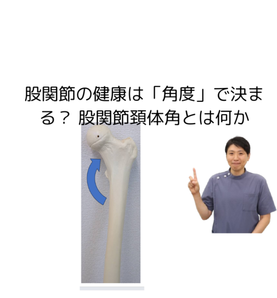キャッチ画像