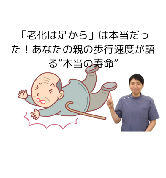 キャッチ画像